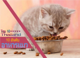 10 อันดับ อาหารแมวคุณภาพดีและคนไทยนิยมใช้มากที่สุด